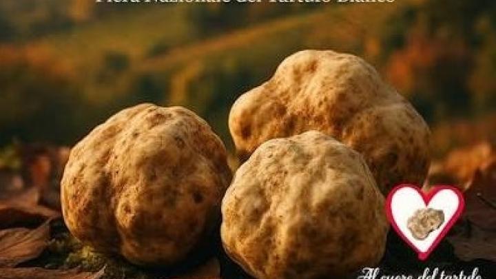 Fiera Nazionale del Tartufo Bianco delle Colline Torinesi