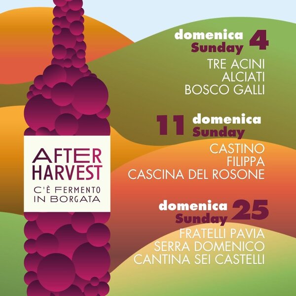 After Harvest: c'è Fermento in Borgata!