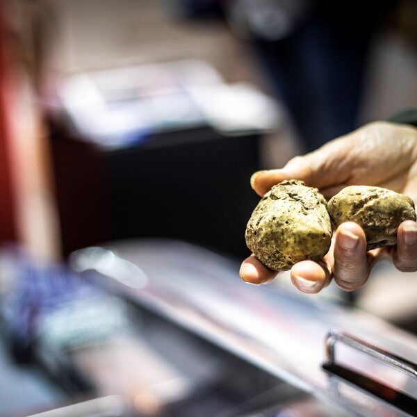 Fiera Nazionale del Tartufo e Fiera di San Martin