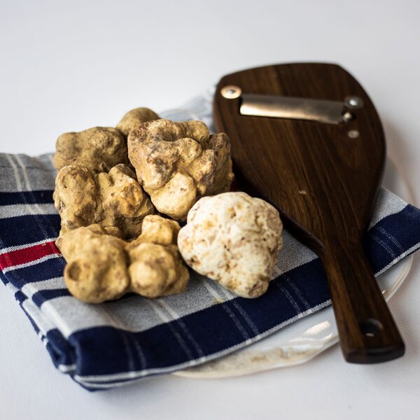 Fiera Nazionale del Tartufo di San Damiano d'Asti