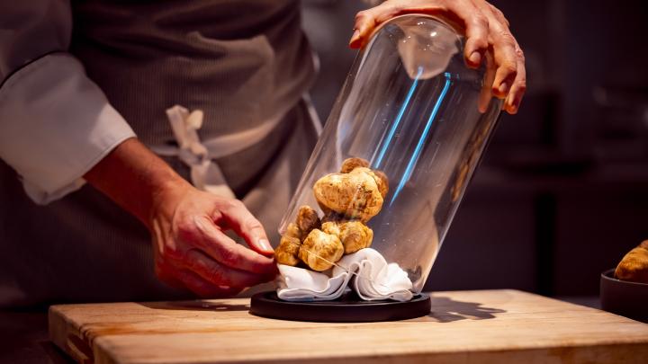 Fiera Nazionale del Tartufo Bianco "Tarsobi, Tartufi & Vino"