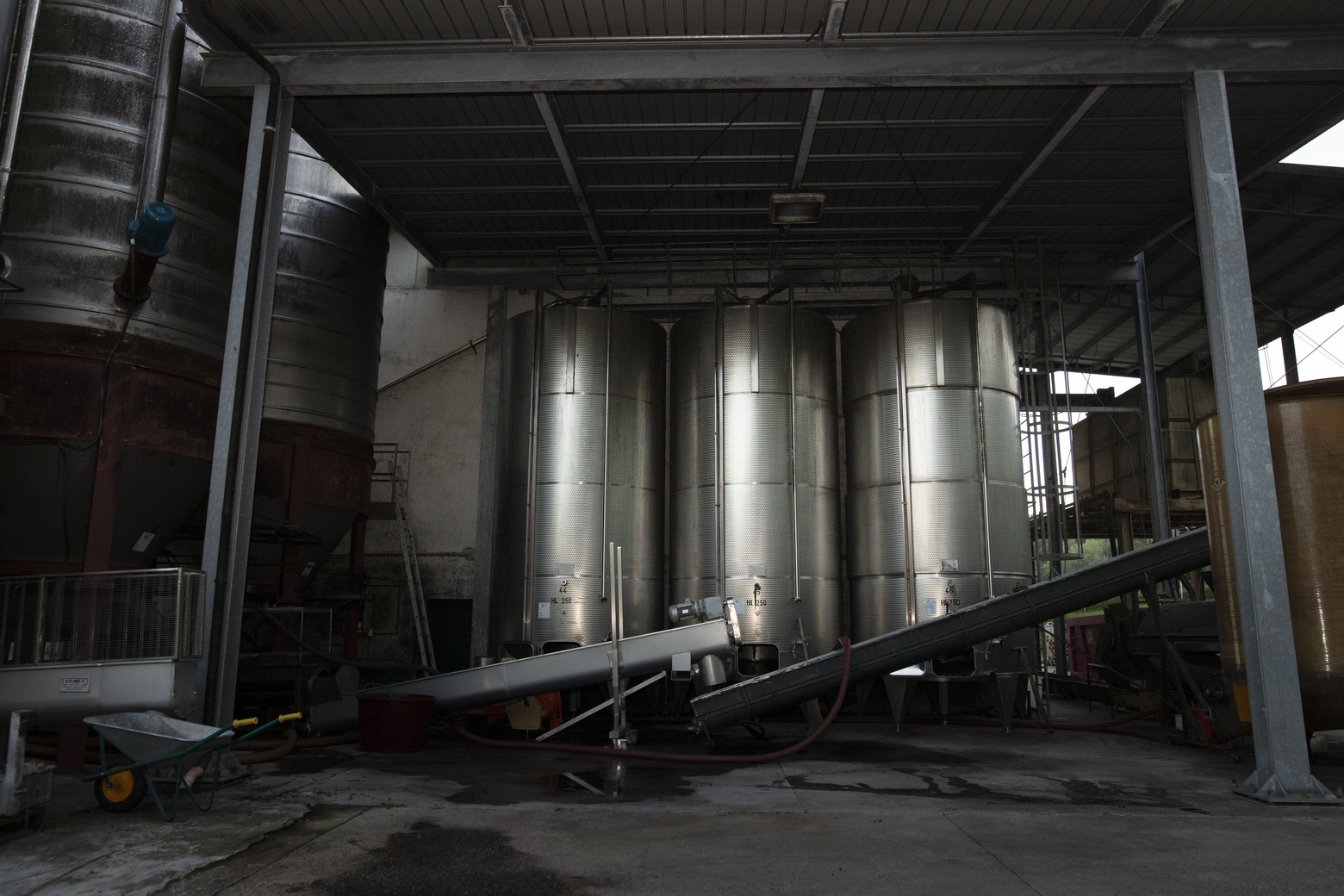 Cantina del Dolcetto di Dogliani