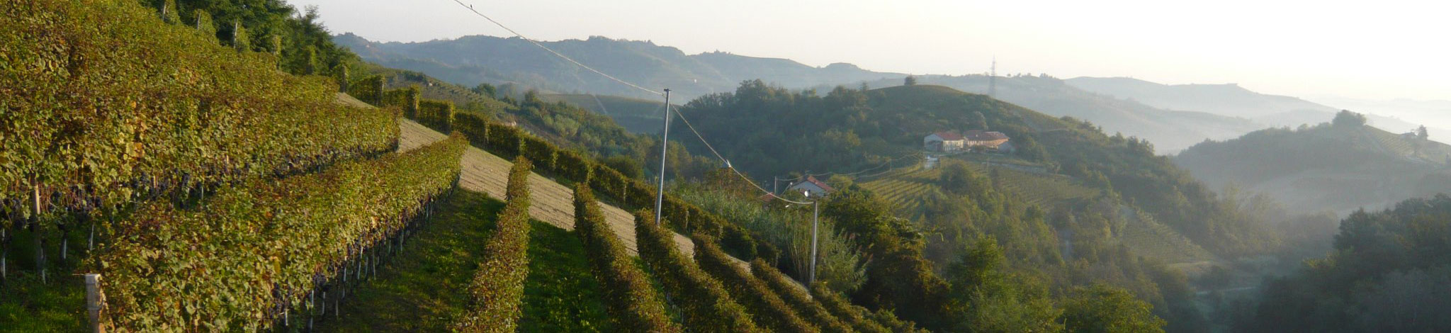 Silvano Nizza
