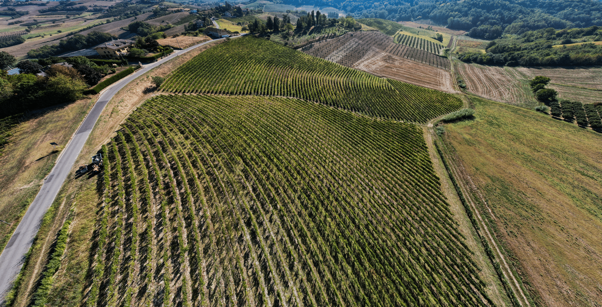 Cantine Sant'Agata