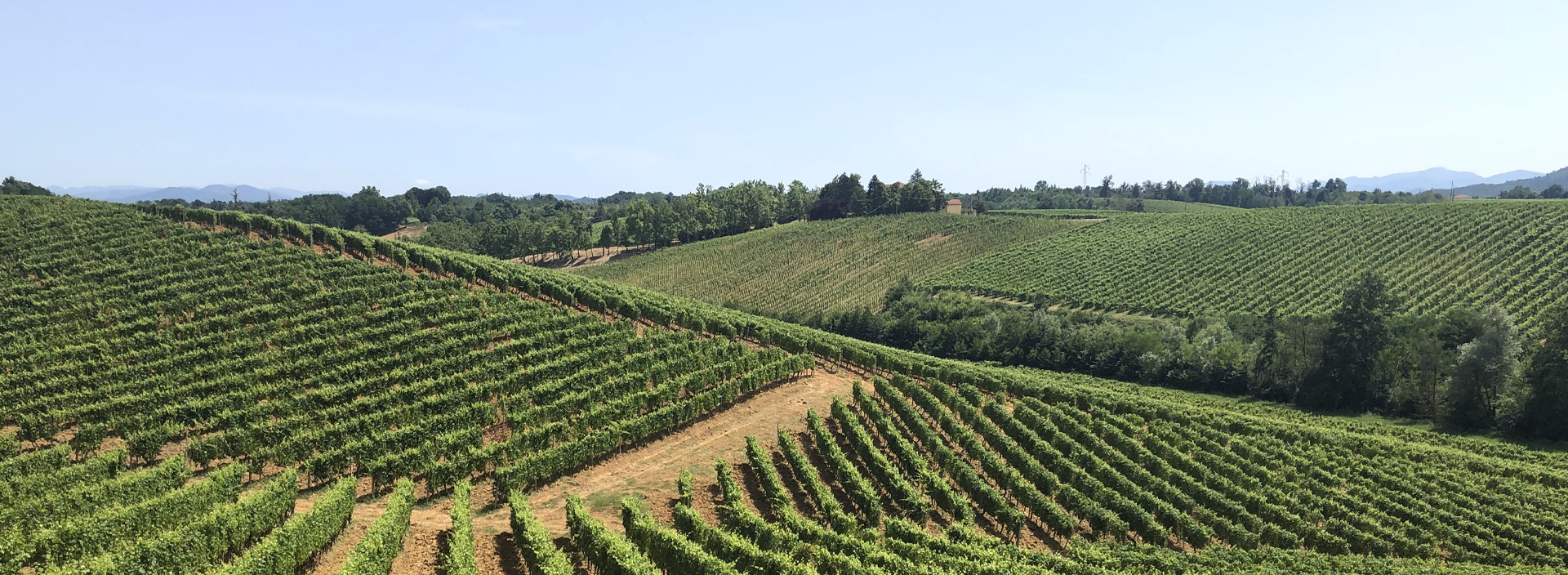 Tenuta San Lorenzo