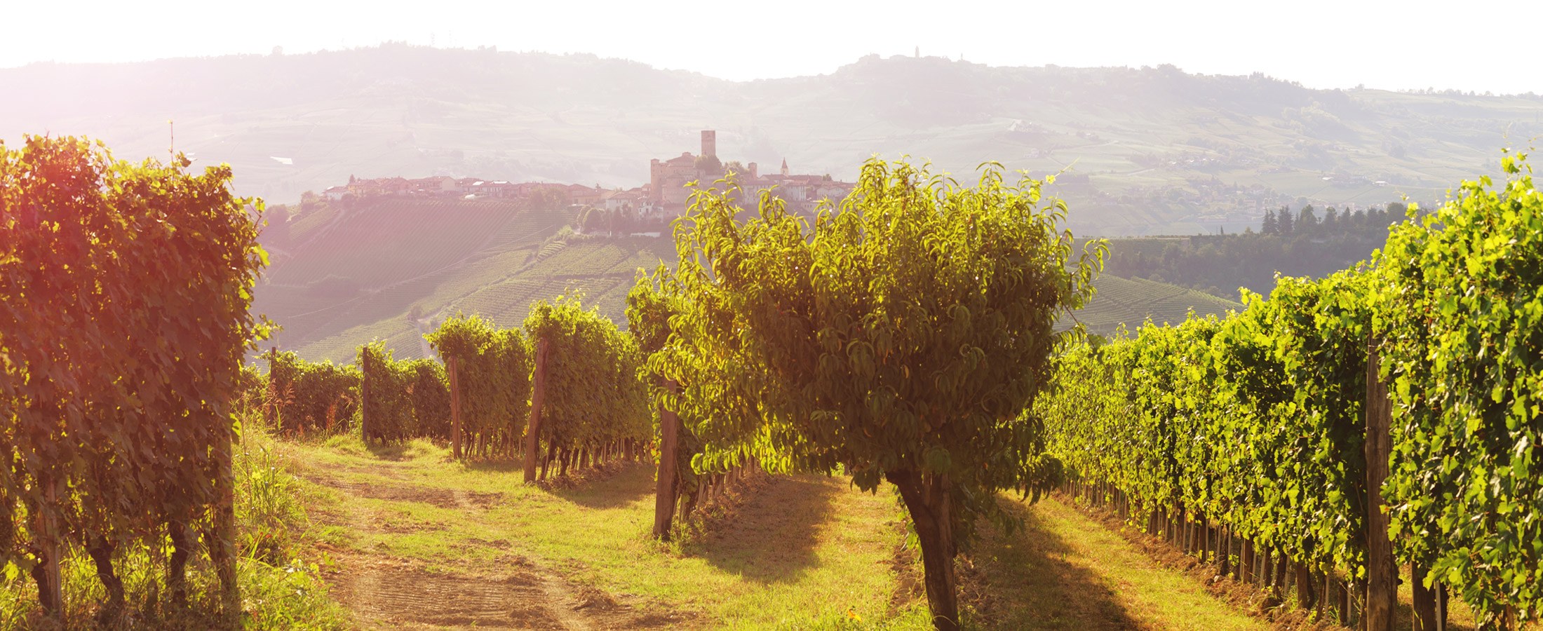 Poderi Gianni Gagliardo