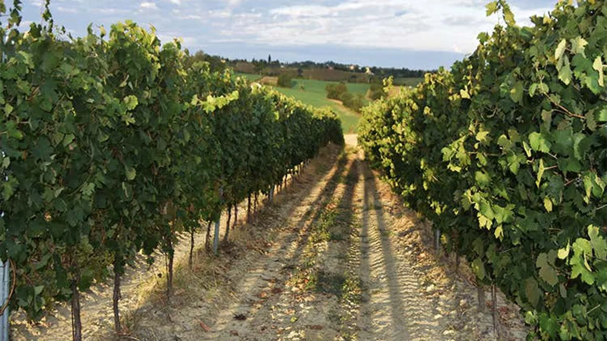 Cantina di Tortona