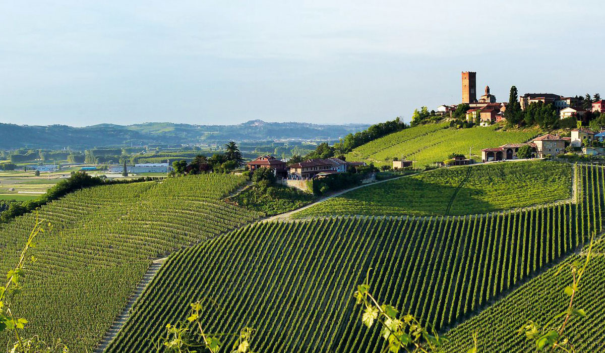 Gaja
