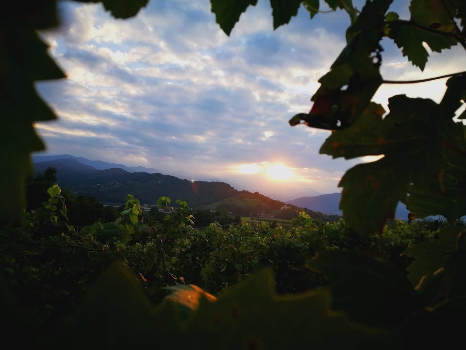 Cascina Melognis