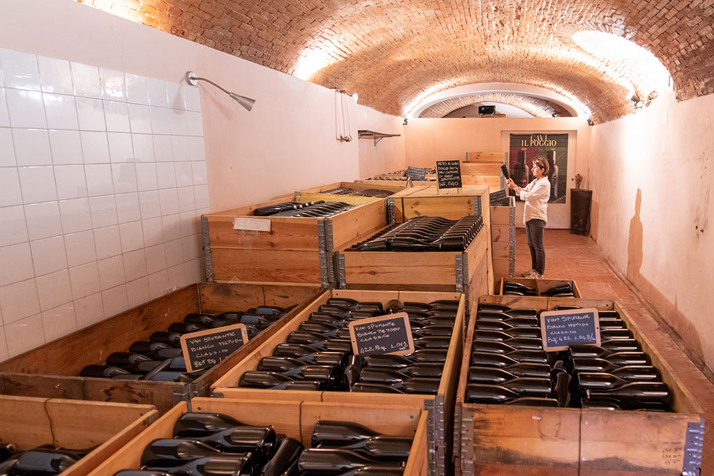 Il Poggio di Gavi