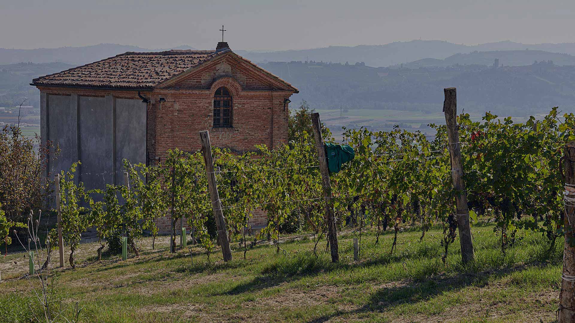 Borgogno Rivata