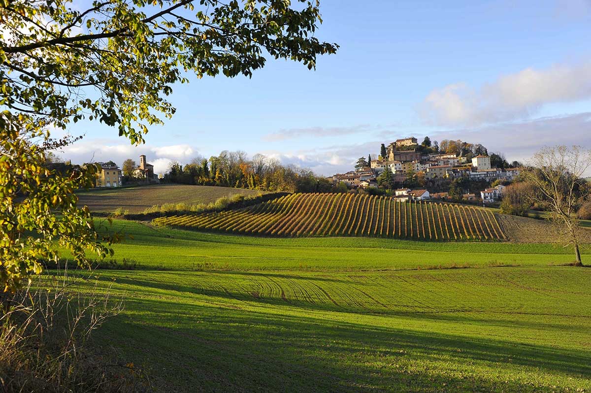 Beccaria Vini
