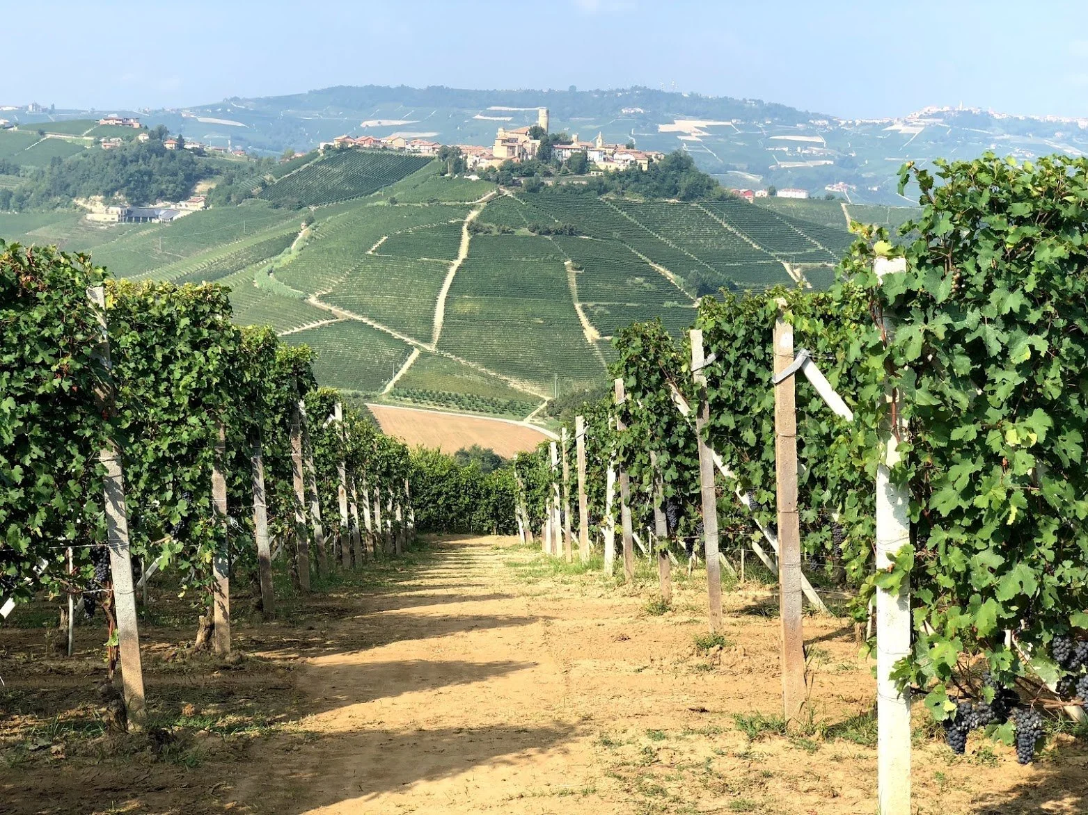 Bruno Giacosa