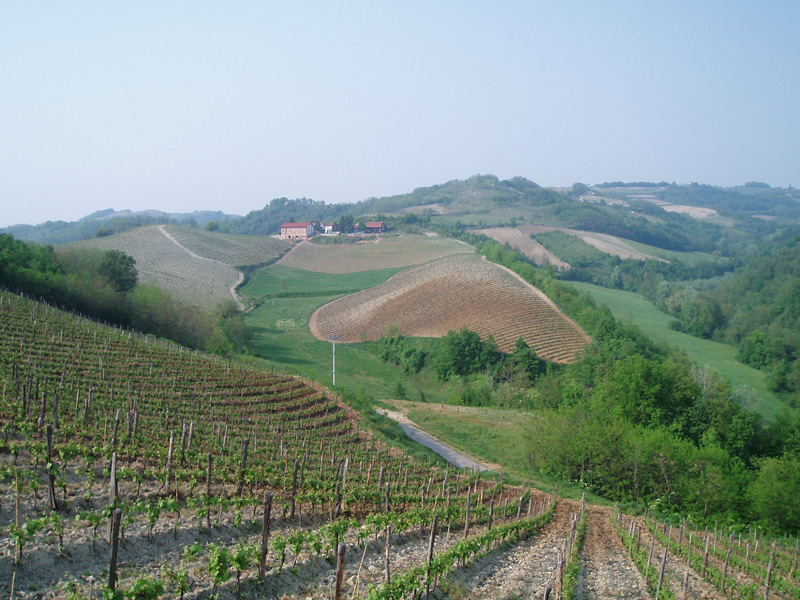 Cascina Salicetti