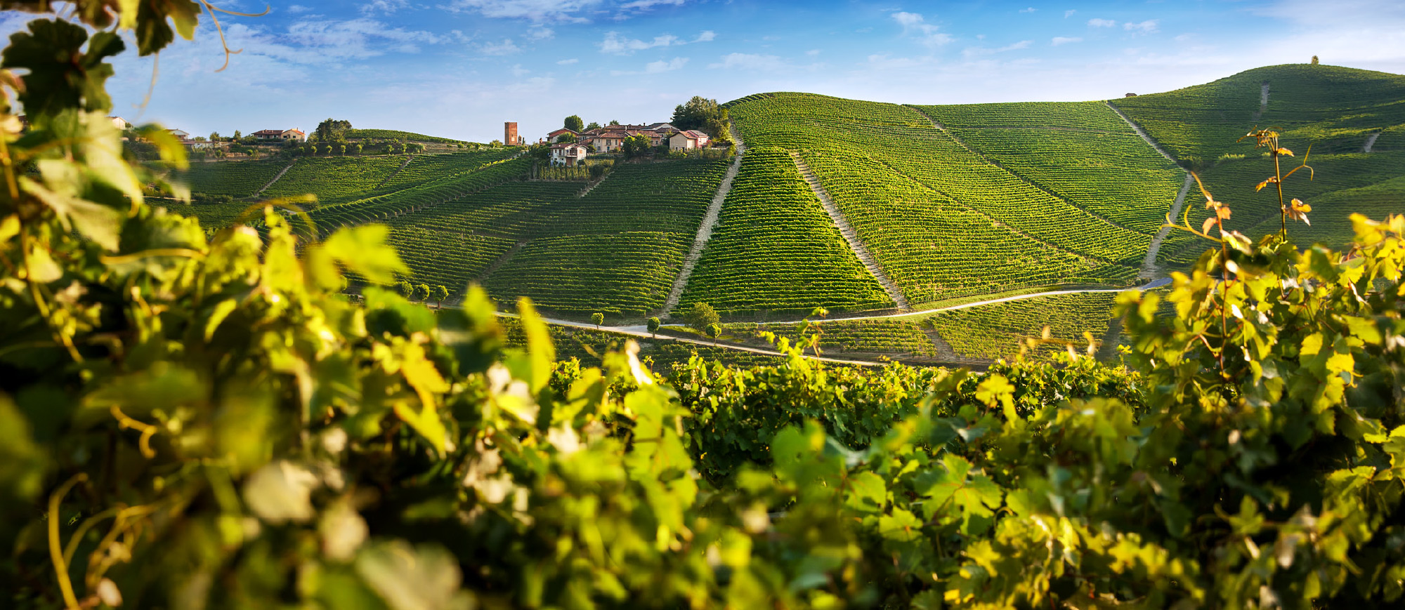 Produttori del Barbaresco