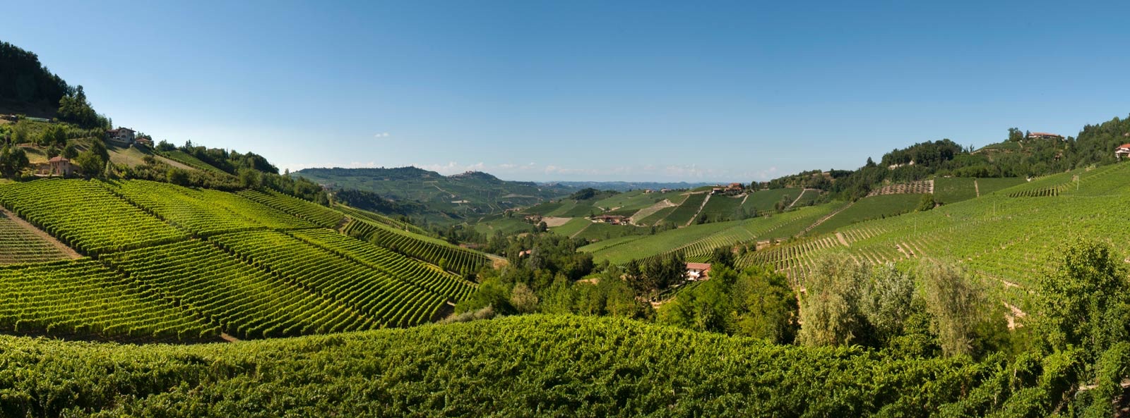 F.lli Giacosa