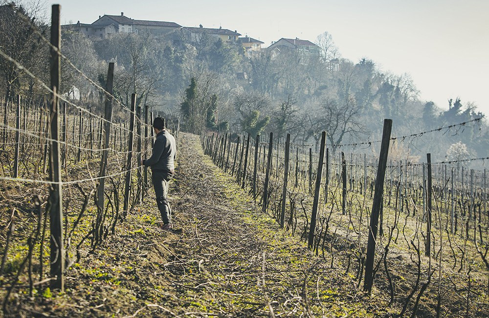 Ca' del Prete