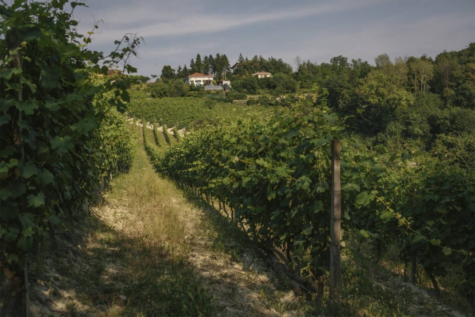 Alle Tre Colline