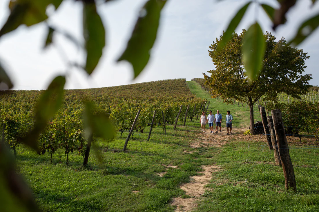 Alemat Winery