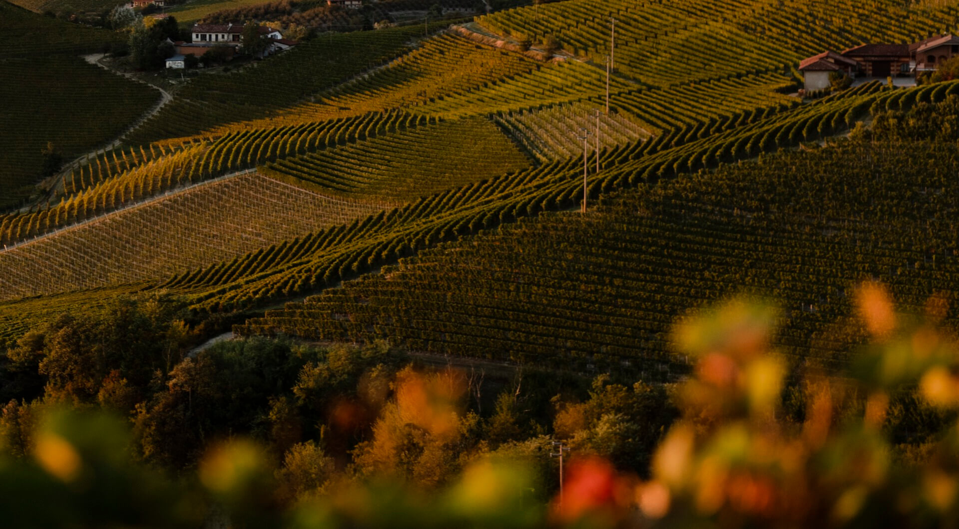 Cantina Oriolo
