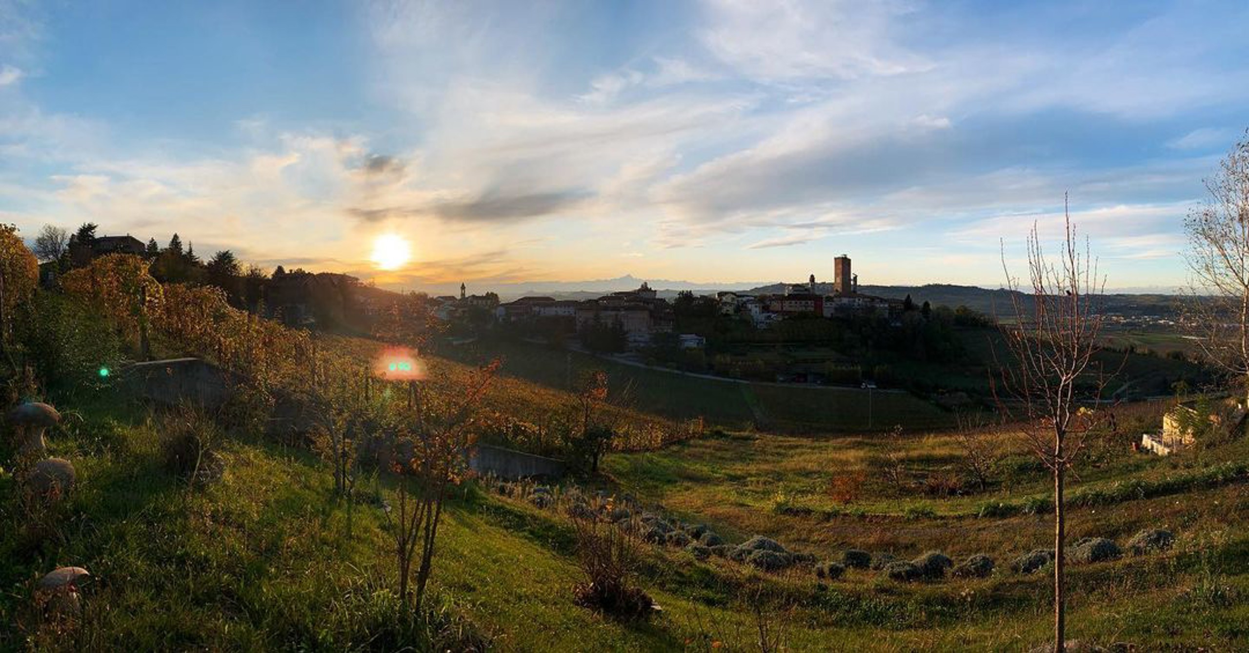 De Forville