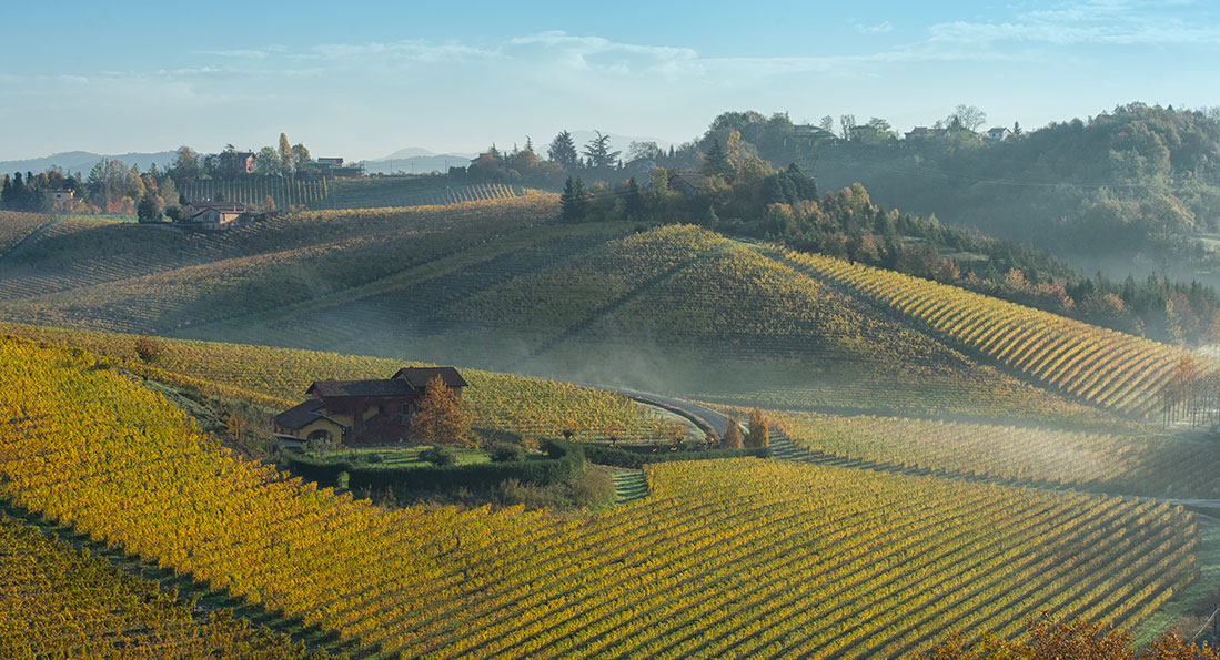 Cantina Produttori del Gavi