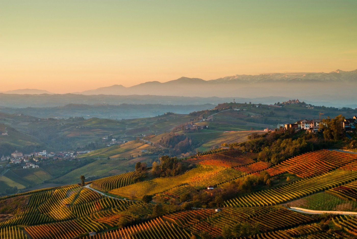 Massimo Pastura - Cascina La Ghersa