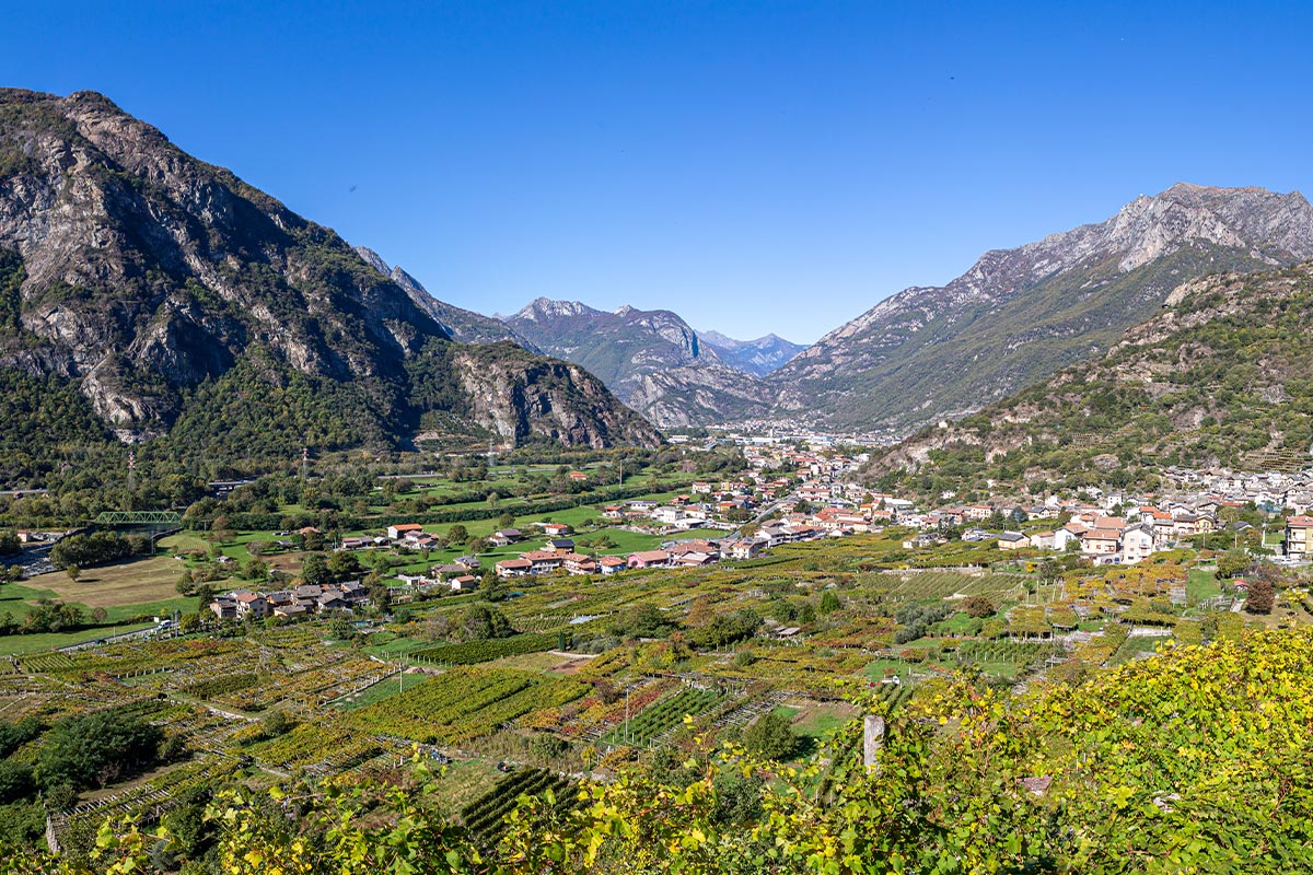 Cantina dei Produttori Nebbiolo di Carema