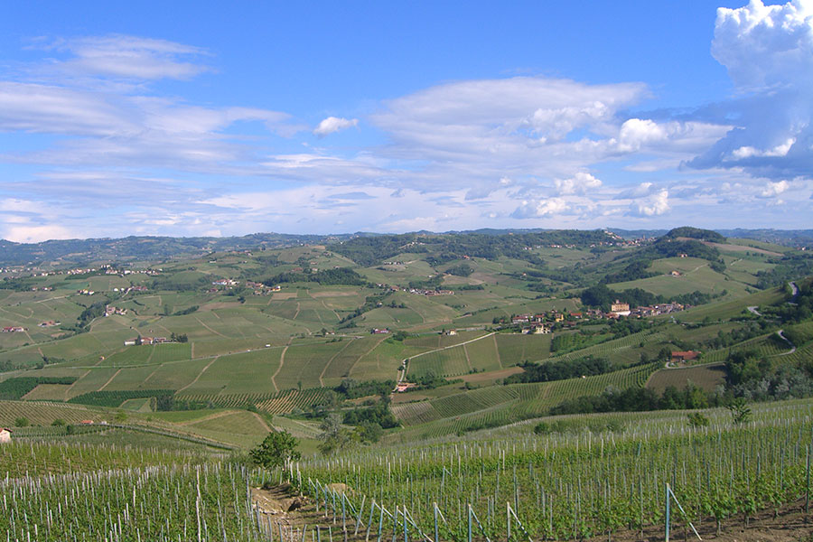 Poderi Aldo Conterno