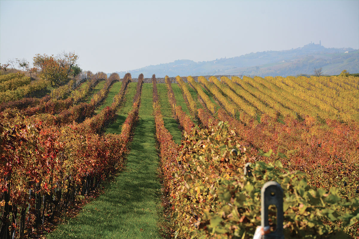 Tenuta San Sebastiano