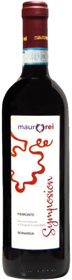 Mauro Rei Symposion