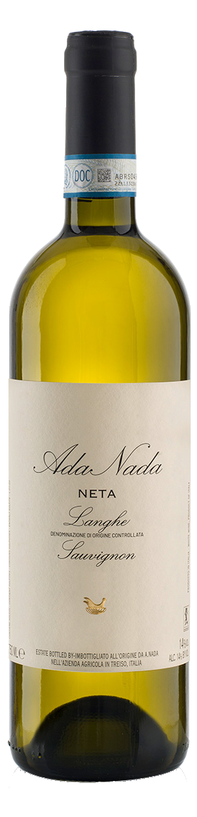Ada Nada Neta