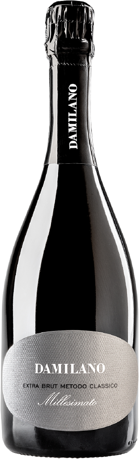 Damilano Extra Brut Metodo Classico Millesimato