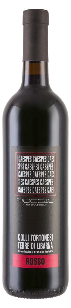 Ezio Poggio Caespes Rosso