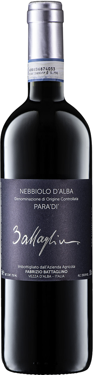 Fabrizio Battaglino Paradi'