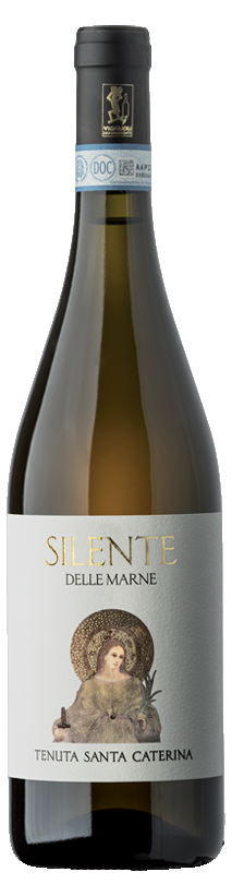 Tenuta Santa Caterina Silente delle Marne
