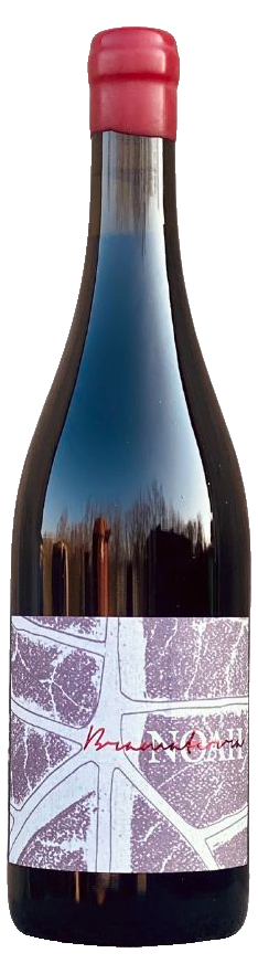 Noah Rocce di Luce