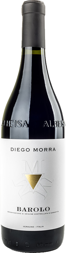 Diego Morra Zinzasco