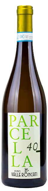Vigneti Valle Roncati Parcella 40