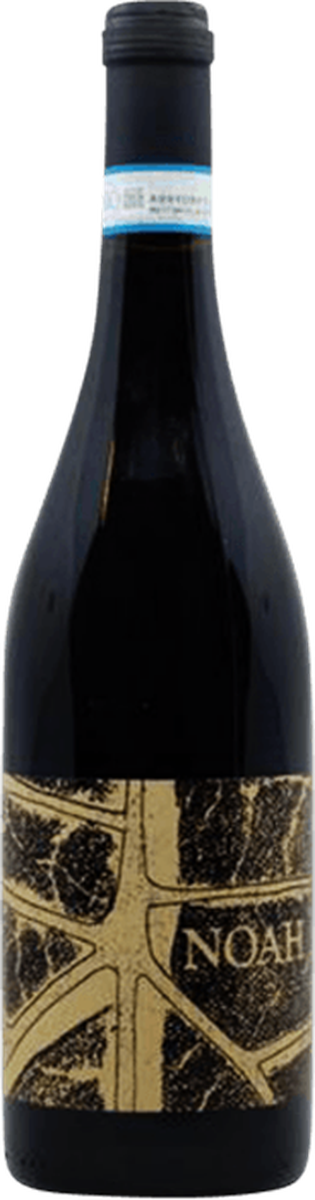 Noah Dellamesola