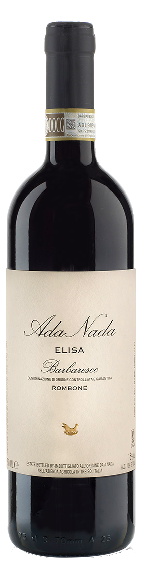 Ada Nada Elisa
