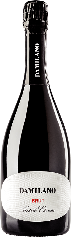 Damilano Brut Metodo Classico